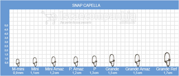 Snap Capella